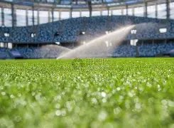 姆巴佩维权,受认可,德尚确认吉,2026彩票平台大全,彩票平台推荐