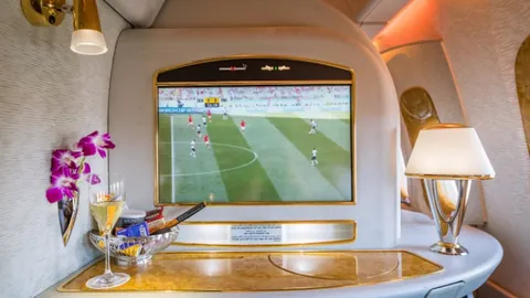 布莱斯-詹姆斯续战亚利桑那大學，赛季磨砺成长