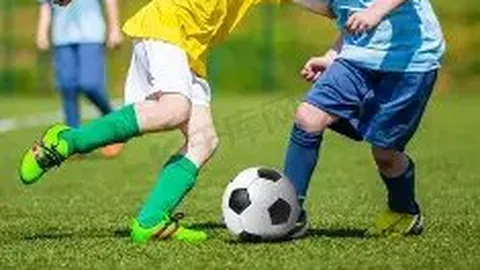 海宁聚焦男排联赛新秀，蔡斌频繁点出无潜力球员引发广泛讨论