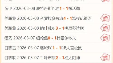 1月11日奈德弗对ETSV汉堡友谊赛展望：往昔对决、数据对比与赛前预测